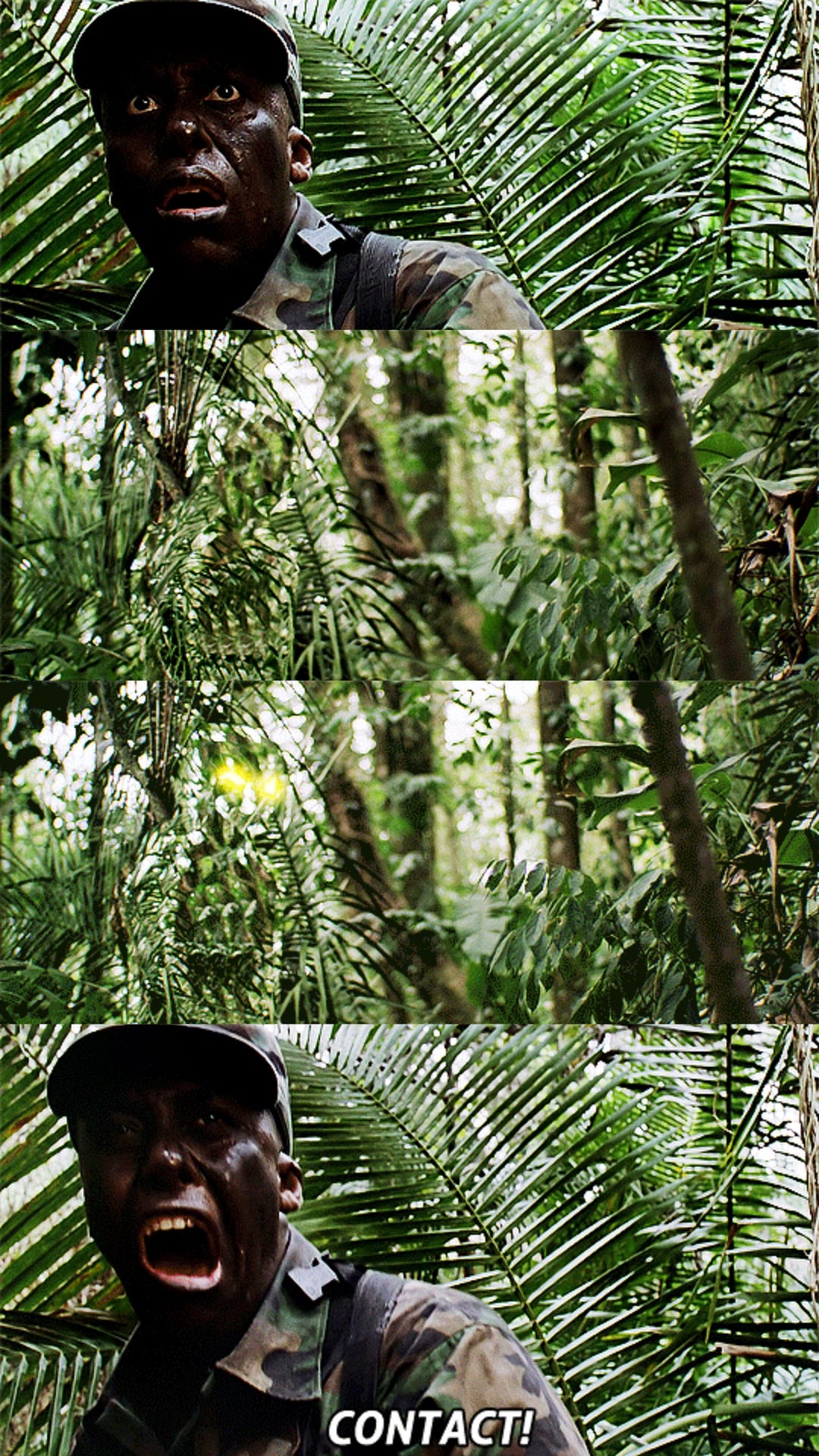 Bill Duke