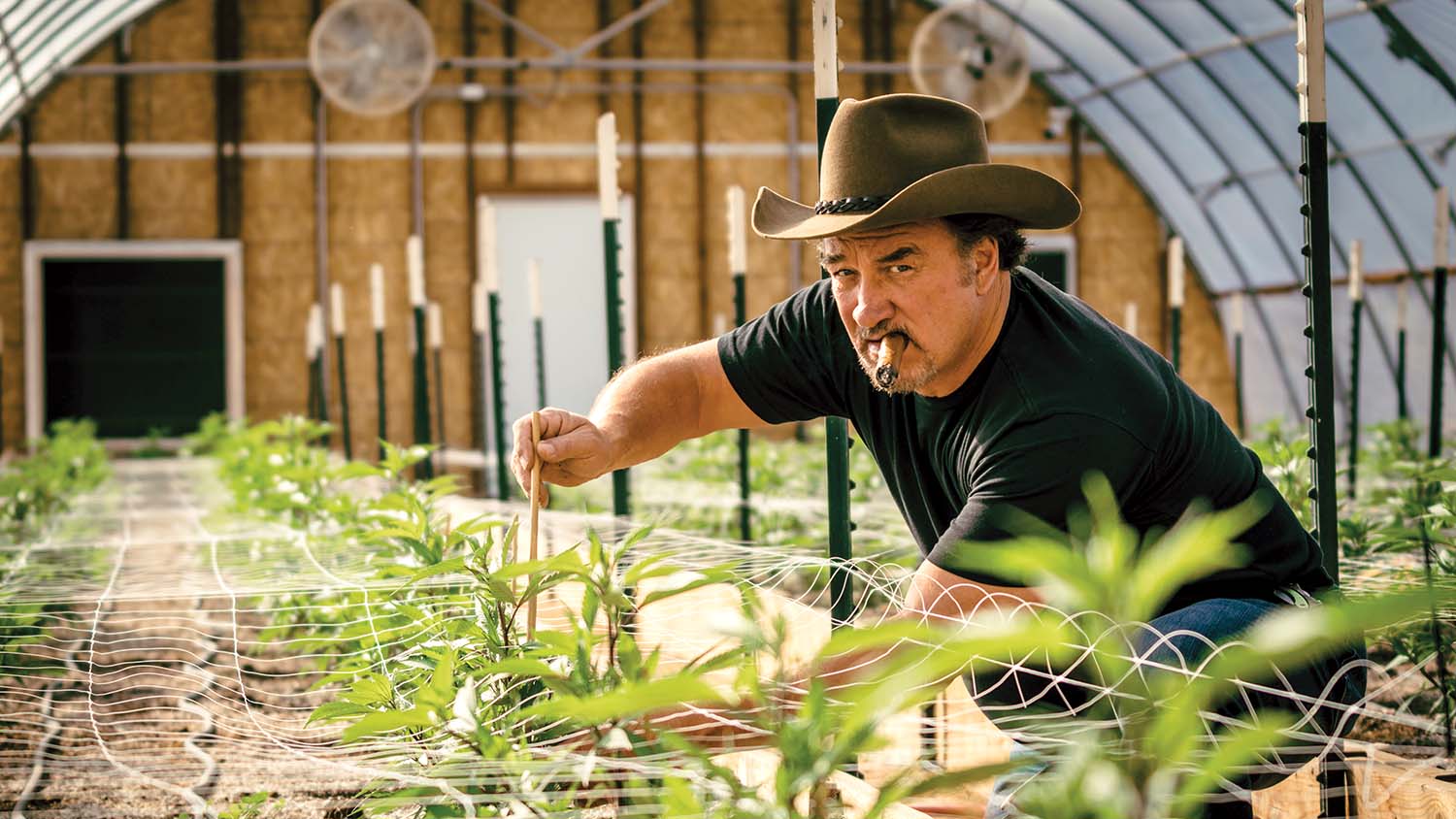 Jim Belushi