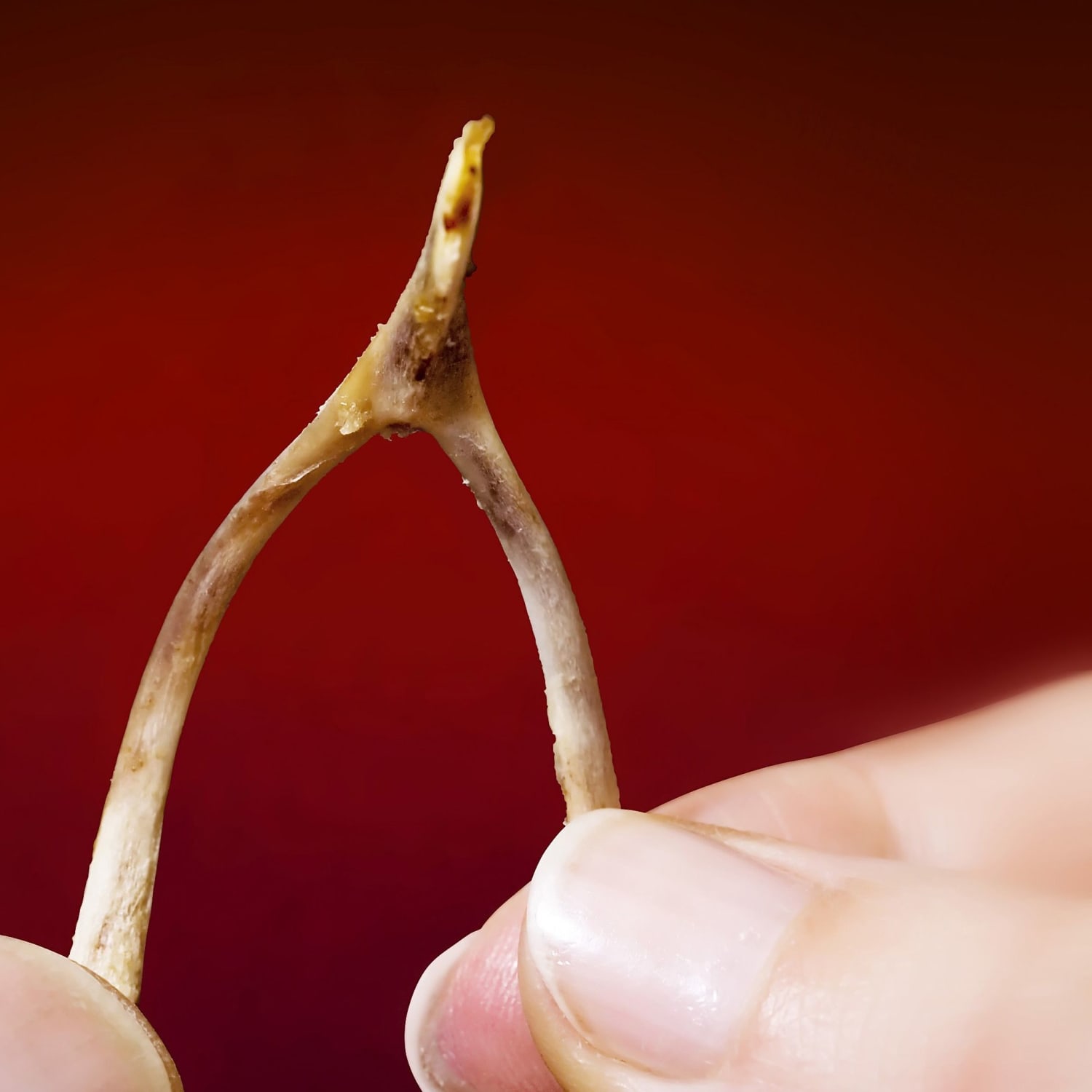Wish Bone